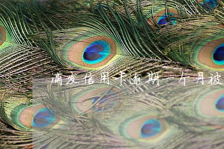 浦发信用卡逾期一个月被限制 浦发信用卡逾期一个月被限制