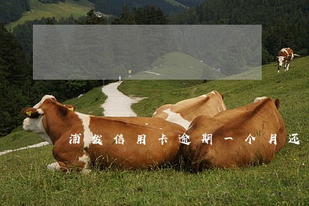 浦发信用卡逾期一个月还全 浦发信用卡逾期一个月还全