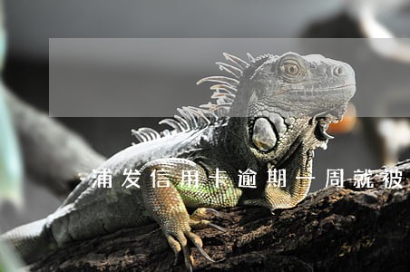 浦发信用卡逾期一周就被锁了 浦发信用卡逾期一周就被锁了