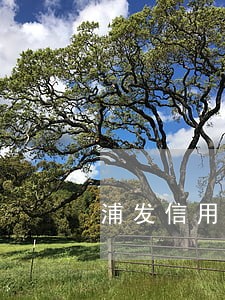 浦发信用卡逾期一天停卡 浦发信用卡逾期一天停卡