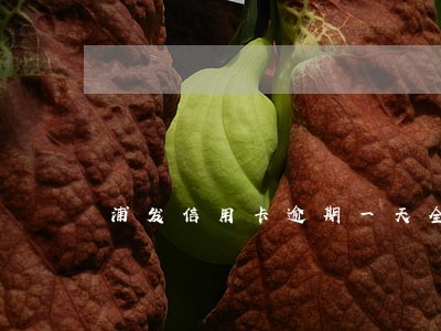 浦发信用卡逾期一天全额还款