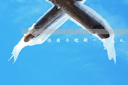 浦发信用卡逾期一天怎么收费
