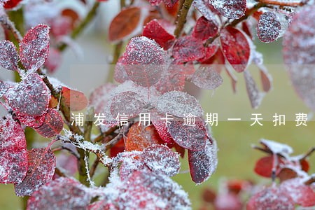 浦发信用卡逾期一天扣费 浦发信用卡逾期一天扣费