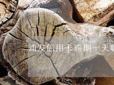 浦发信用卡逾期一天收利息 浦发信用卡逾期一天收利息