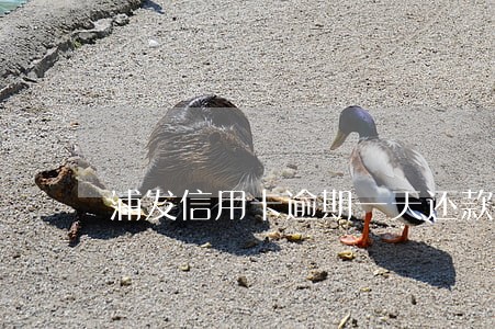 浦发信用卡逾期一天还款扣利息嘛 浦发信用卡逾期一天还款扣利息嘛