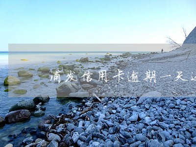 浦发信用卡逾期一天还进去有事吗 浦发信用卡逾期一天还进去有事吗