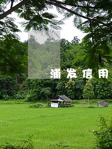 浦发信用卡逾期一小时怎么办 浦发信用卡逾期一小时怎么办