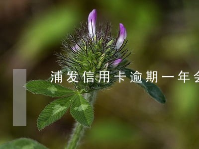 浦发信用卡逾期一年会上门吗 浦发信用卡逾期一年会上门吗