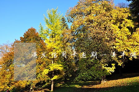 浦发信用卡逾期一年半储蓄卡 浦发信用卡逾期一年半储蓄卡