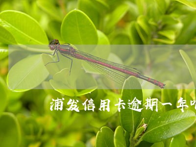 浦发信用卡逾期一年吧 浦发信用卡逾期一年吧