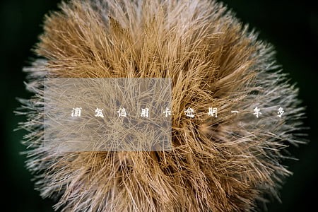 浦发信用卡逾期一年多 浦发信用卡逾期一年多