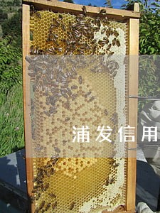 浦发信用卡逾期一年多了