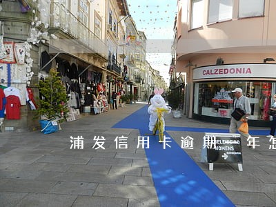 浦发信用卡逾期一年怎么处罚 浦发信用卡逾期一年怎么处罚