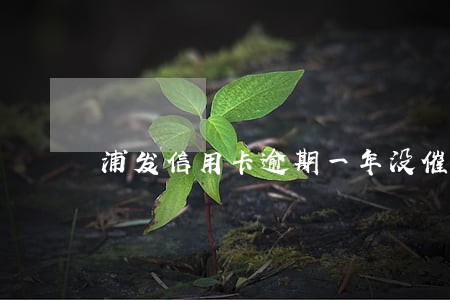 浦发信用卡逾期一年没催收 浦发信用卡逾期一年没催收