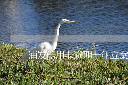 浦发信用卡逾期一年立案 浦发信用卡逾期一年立案
