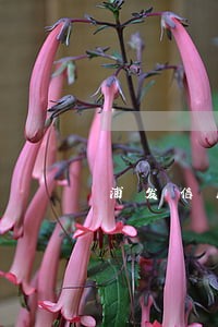 浦发信用卡逾期一年还八千 浦发信用卡逾期一年还八千