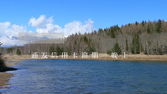 浦发信用卡逾期一晚上