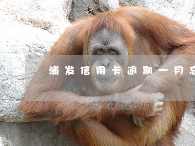 浦发信用卡逾期一月忘还了咋办 浦发信用卡逾期一月忘还了咋办