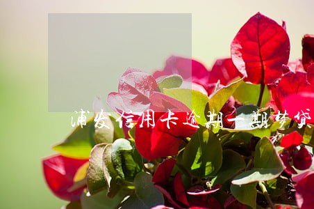 浦发信用卡逾期一期梦贷款吗