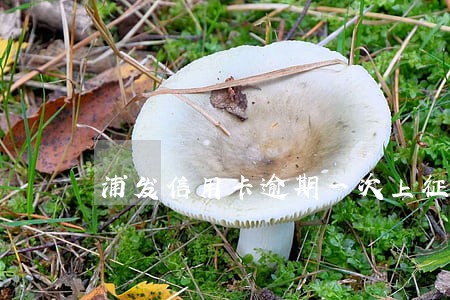浦发信用卡逾期一次上征信了 浦发信用卡逾期一次上征信了