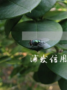 浦发信用卡逾期一般几天上征信 浦发信用卡逾期一般几天上征信