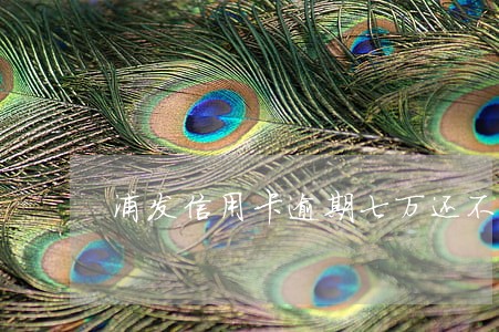 浦发信用卡逾期七万还不上怎么办
