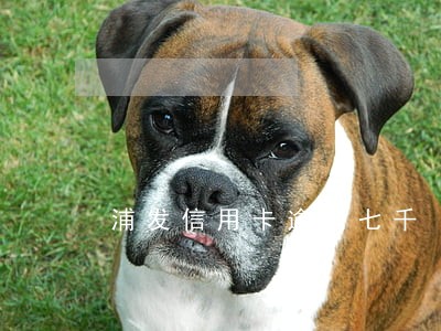 浦发信用卡逾期七千 浦发信用卡逾期七千
