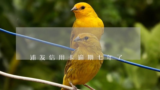 浦发信用卡逾期七年了