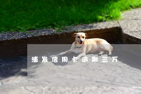 浦发信用卡逾期三万 浦发信用卡逾期三万
