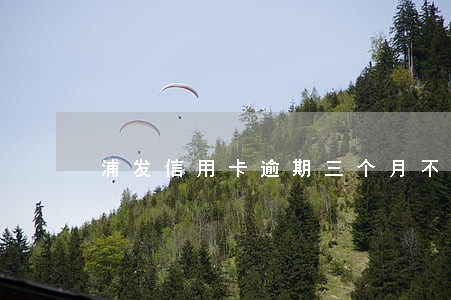 浦发信用卡逾期三个月不能协商