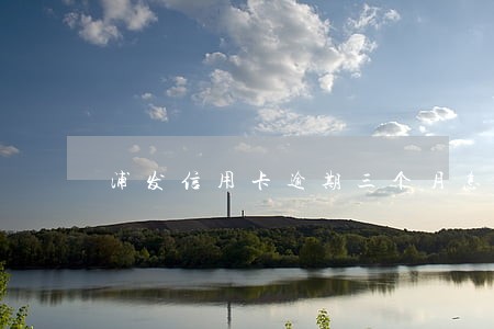 浦发信用卡逾期三个月怎么协商