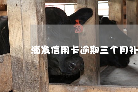 浦发信用卡逾期三个月补救 浦发信用卡逾期三个月补救