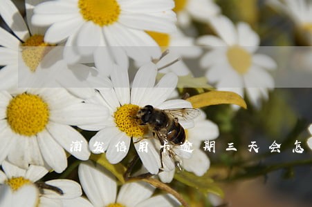 浦发信用卡逾期三天会怎么样 浦发信用卡逾期三天会怎么样