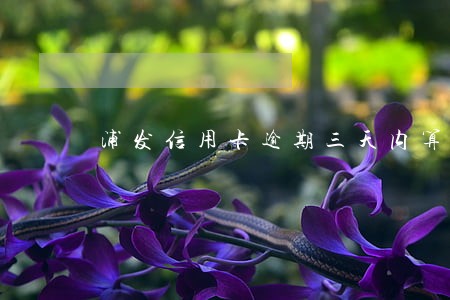 浦发信用卡逾期三天内算逾期吗 浦发信用卡逾期三天内算逾期吗
