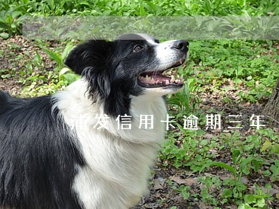 浦发信用卡逾期三年