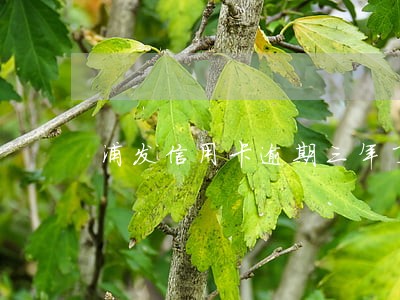 浦发信用卡逾期三年了 浦发信用卡逾期三年了