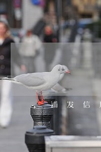 浦发信用卡逾期三年本金六七万 浦发信用卡逾期三年本金六七万