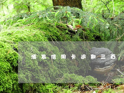 浦发信用卡逾期三百 浦发信用卡逾期三百
