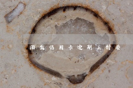 浦发信用卡逾期上村委 浦发信用卡逾期上村委