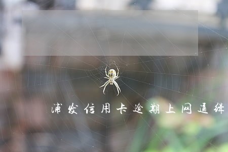 浦发信用卡逾期上网通缉了咋办