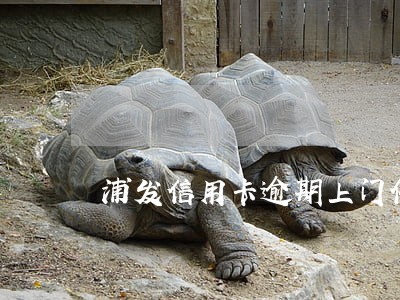 浦发信用卡逾期上门催缴