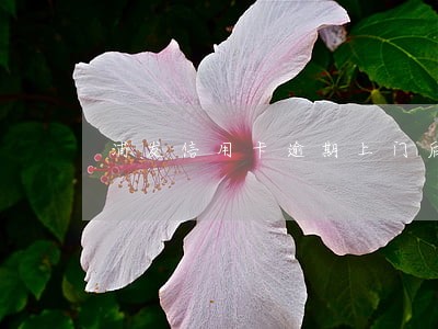 浦发信用卡逾期上门后 浦发信用卡逾期上门后