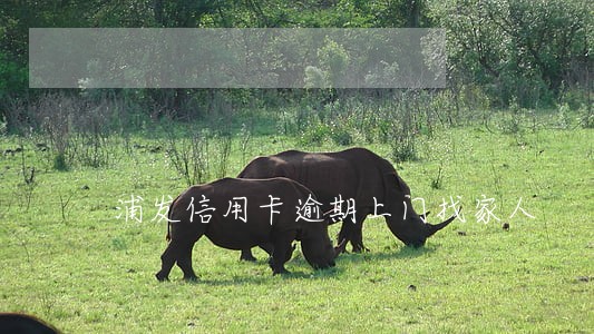 浦发信用卡逾期上门找家人