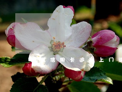 浦发信用卡逾期上门调查