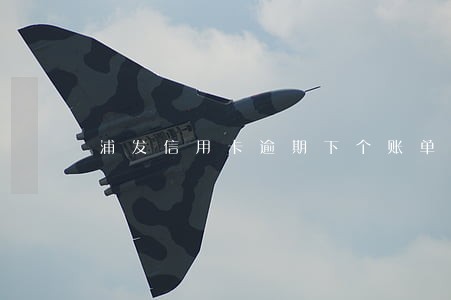 浦发信用卡逾期下个账单日还 浦发信用卡逾期下个账单日还