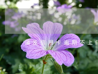 浦发信用卡逾期不上门 浦发信用卡逾期不上门