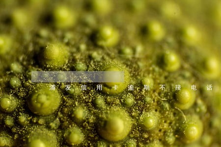 浦发信用卡逾期不接电话后果 浦发信用卡逾期不接电话后果