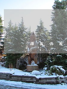 浦发信用卡逾期不能刷卡了 浦发信用卡逾期不能刷卡了
