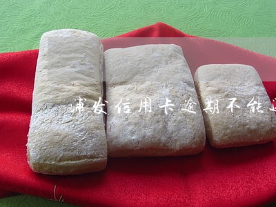 浦发信用卡逾期不能还最低吗 浦发信用卡逾期不能还最低吗