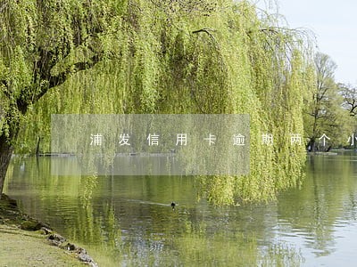 浦发信用卡逾期两个小时 浦发信用卡逾期两个小时